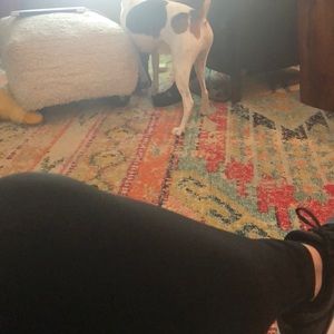 Meet your Posher, Kerry